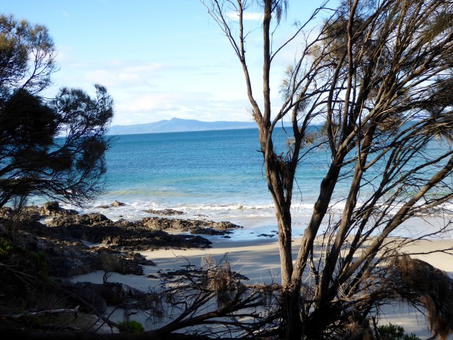 We like Mayfield Bay