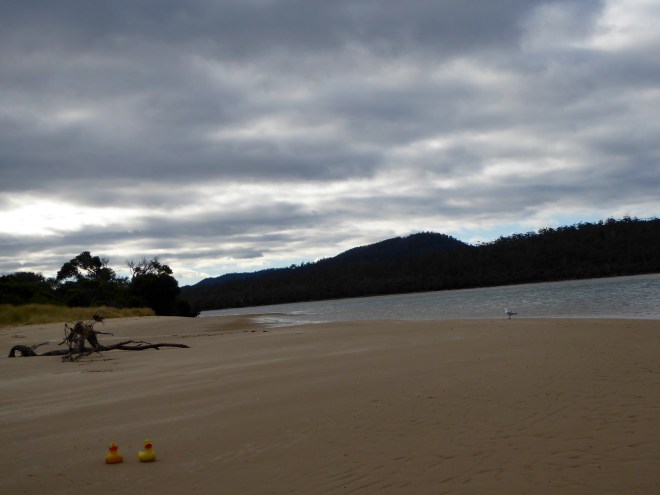 Stormy skies but no rain today