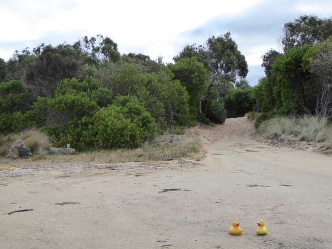 Driving on that road brought us here