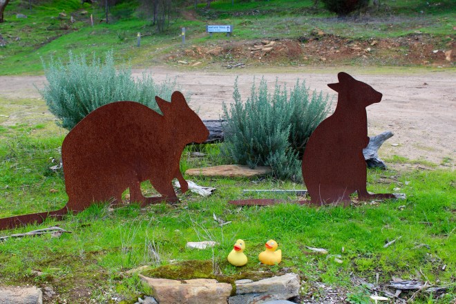 Our resort on Kangaroo Island