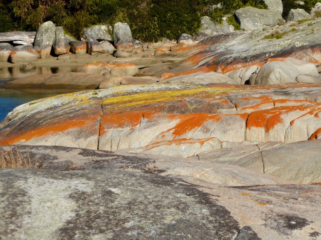 We were walking on these rocks