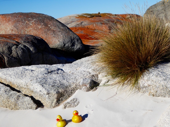Sitting in soft white sand, near orange boulders and blue water.
