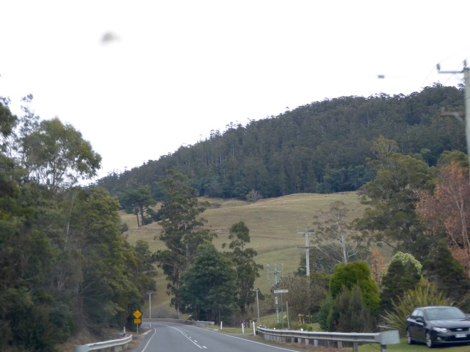 Most of the roads we found were rather narrow and had many curves. Beautiful but be careful!