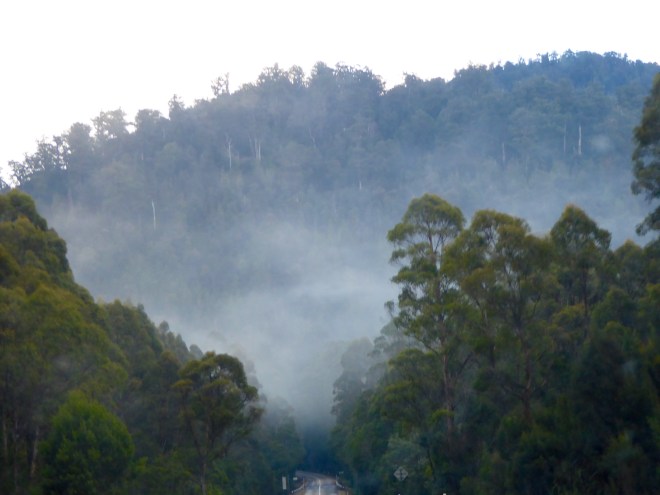 Cold, foggy morning leaving Burnie Tasmania
