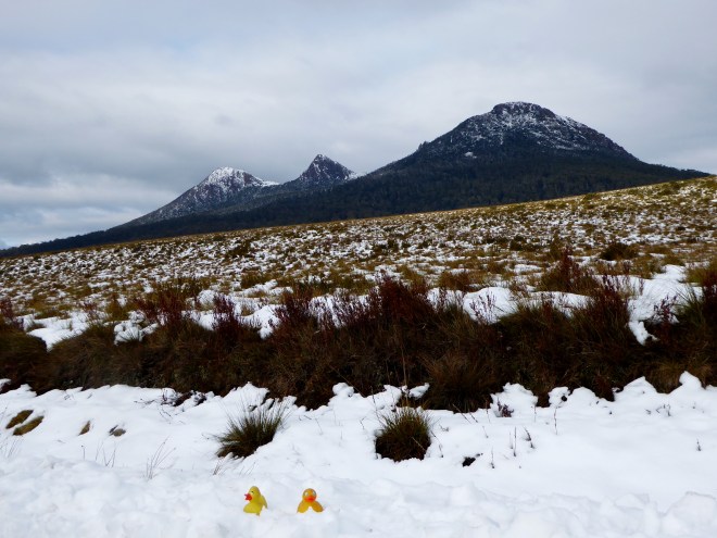 Fresh snow at the East West Divide. It is cold, mom