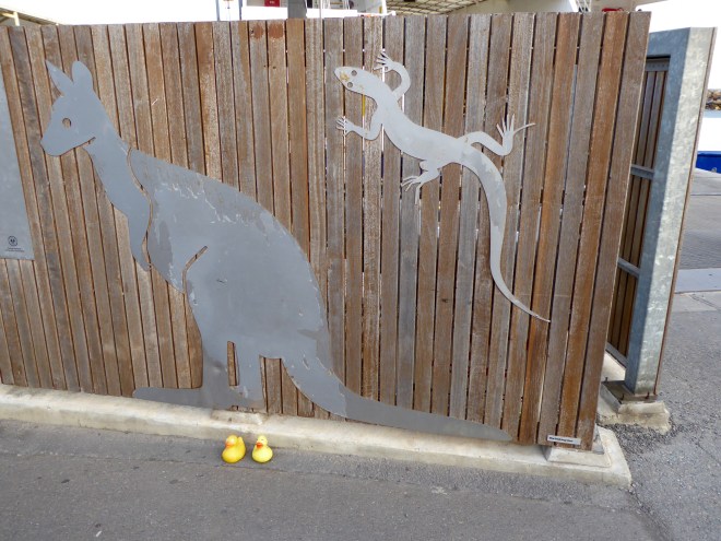 We will get on the ferry to Kangaroo Island