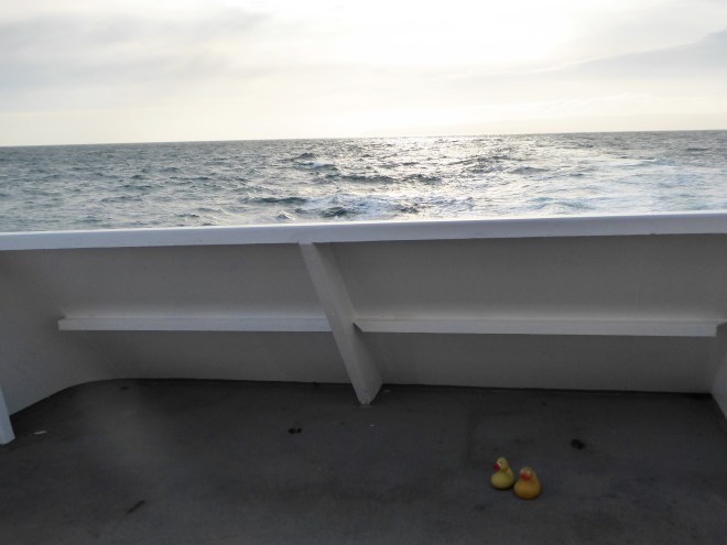 Very windy back here.   We have to stay on the floor so we don't blow overboard