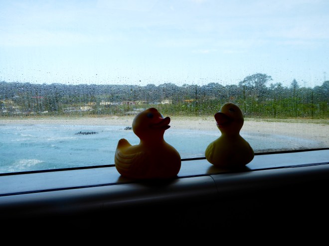 We are approaching Kangaroo Island