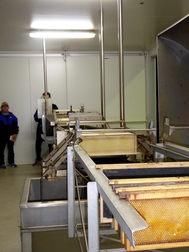 Getting honey from hive