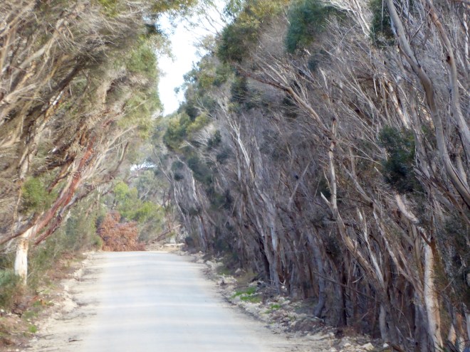 Let's continue down the road