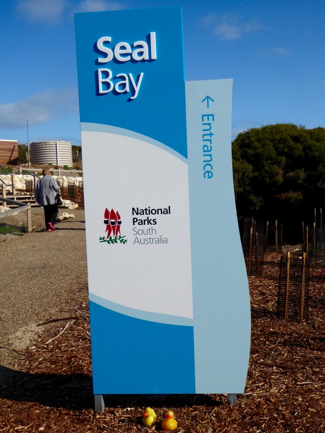 Seal Bay is part of a National Park