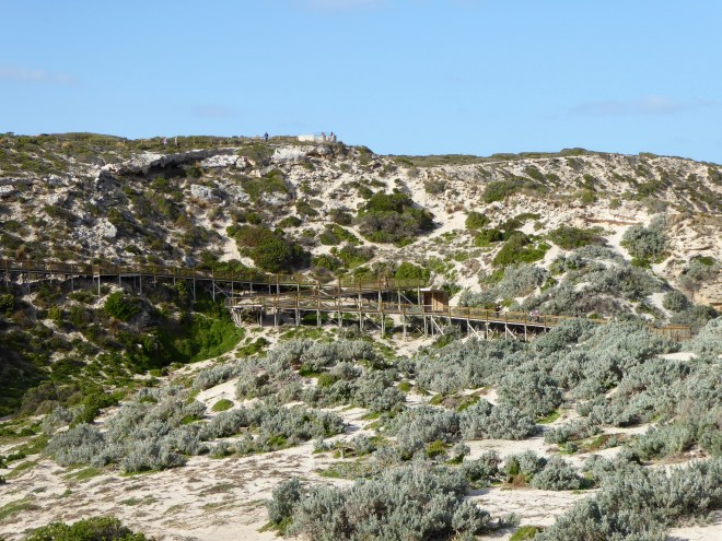Humans can walk on this boardwalk for a different view