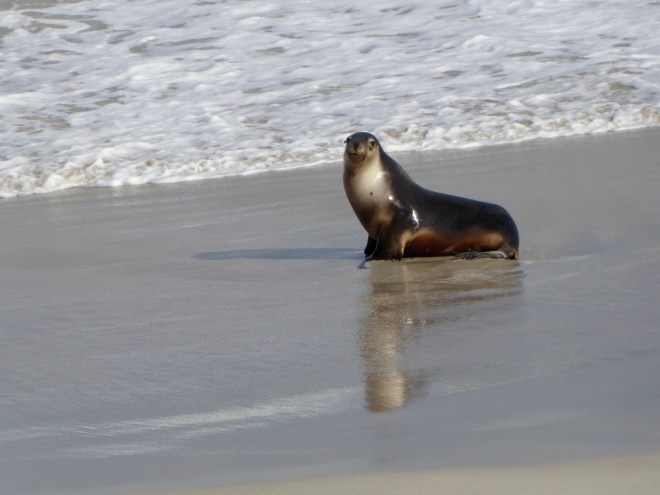 He knows we are here