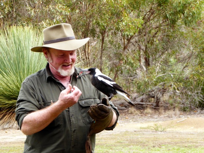 These birds are so pretty
