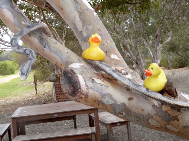 We are with a snake??