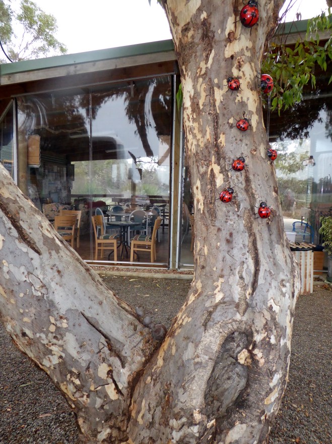 Lady Bugs on the tree