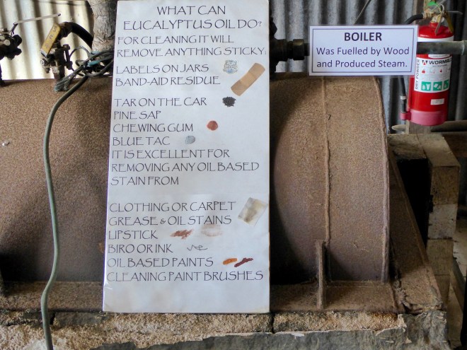 Why have eucalyptus oil?