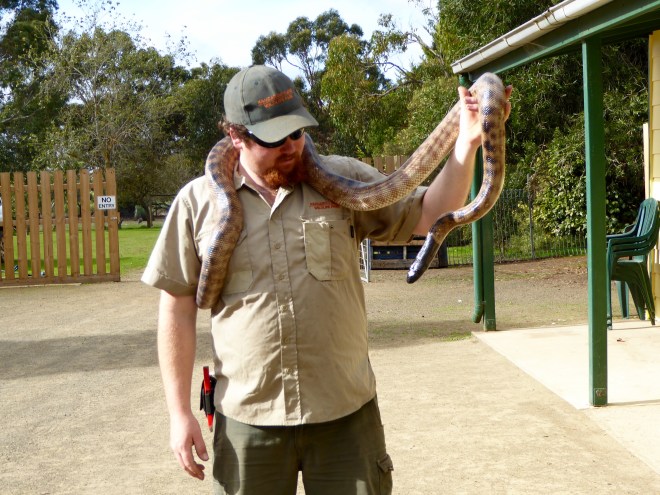 Snakes are not all bad