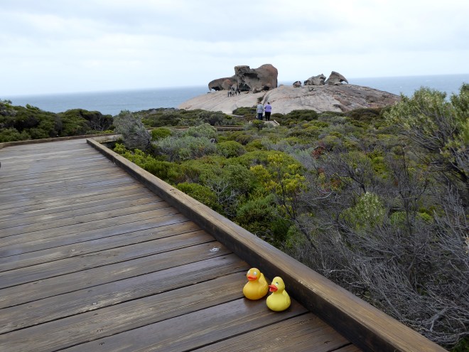 On the boardwalk to Remarkable Rocks