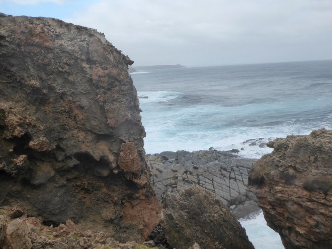 Looking down at New Zealand Fur Seals and Southern Ocean