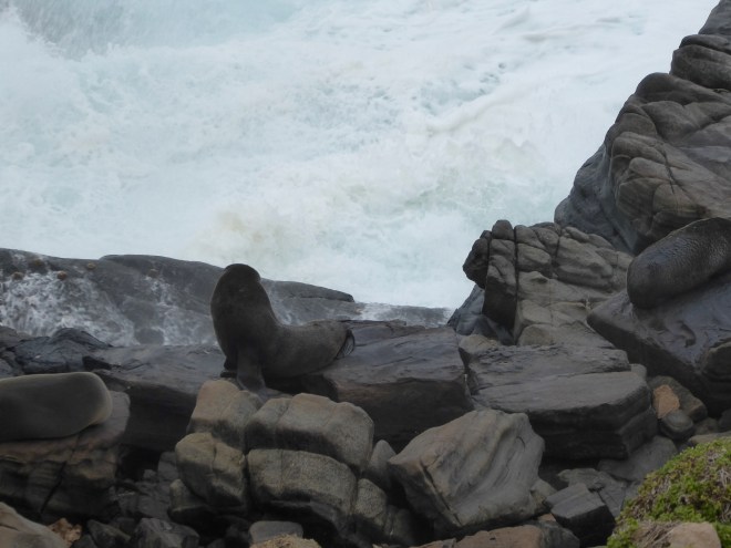 Sitting up for a photo