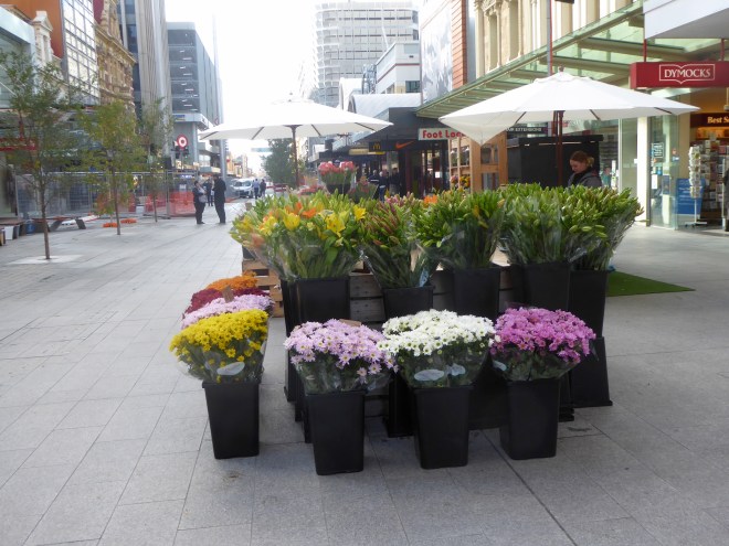 Flowers are so cheerful