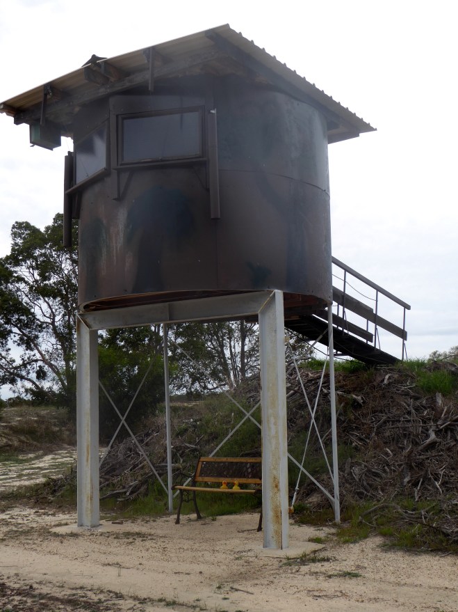 Humans can sit inside and wait for wildlife to appear