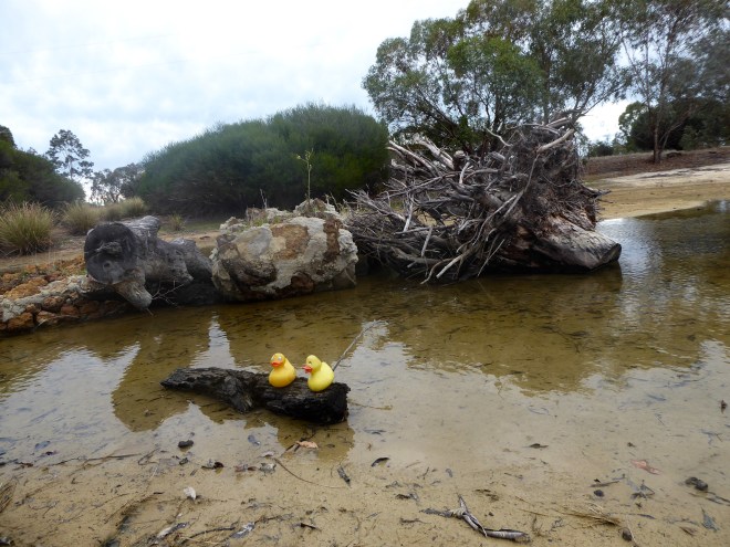 Hiking around the lake