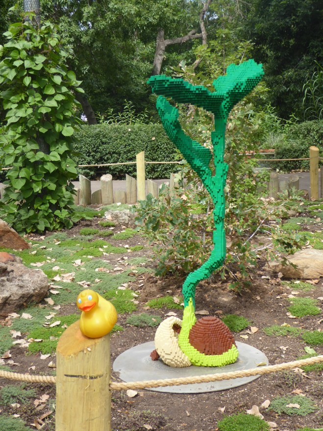 Lego acorn germinating 