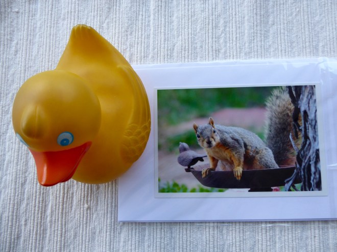 This squirrel lives with me now