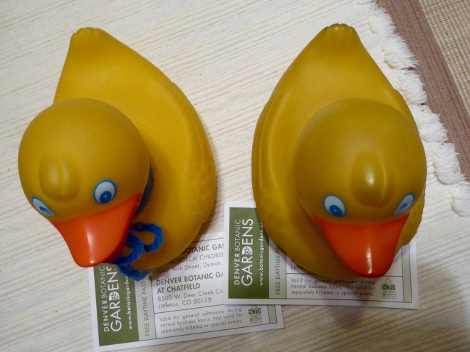 Free passes so we can go back