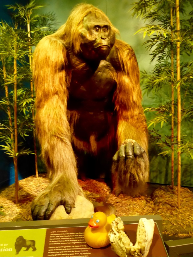 He lived 300,000 years ago