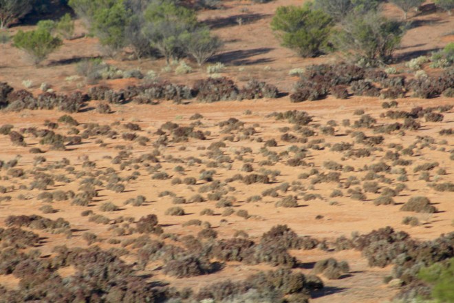 Desert outback terrain 