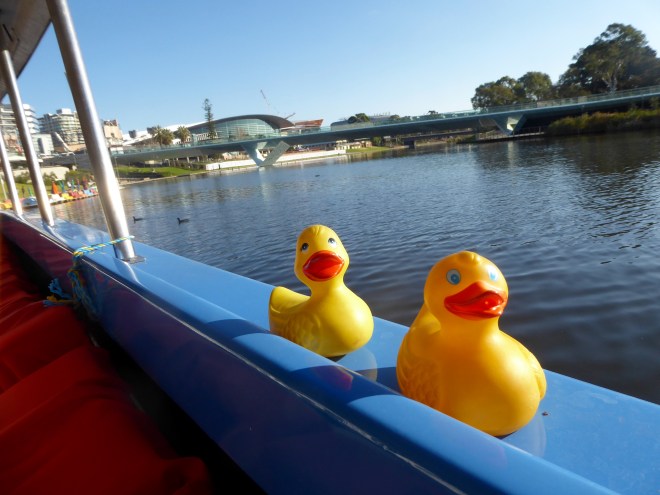 Riding down the river