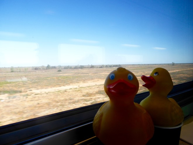 We approaching the town of Cook