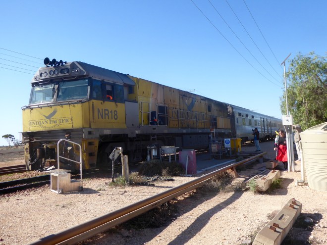 Our train in Cook, Australia
