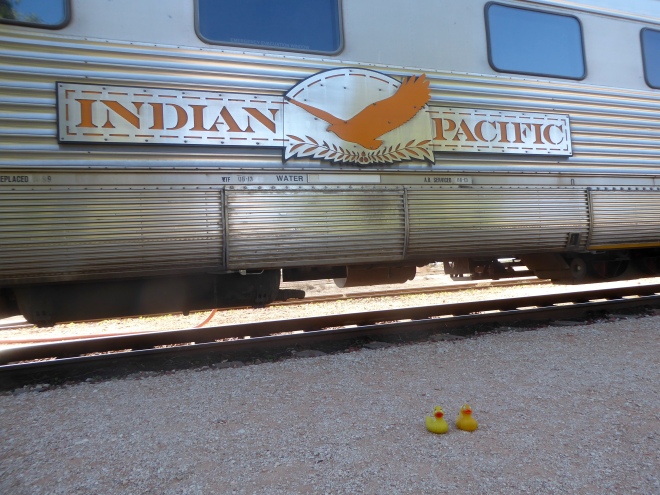 The Indian Pacific Railway