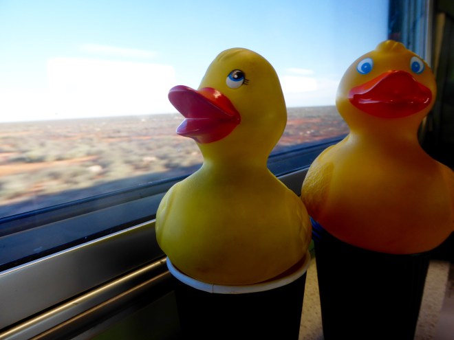 We like looking out the window