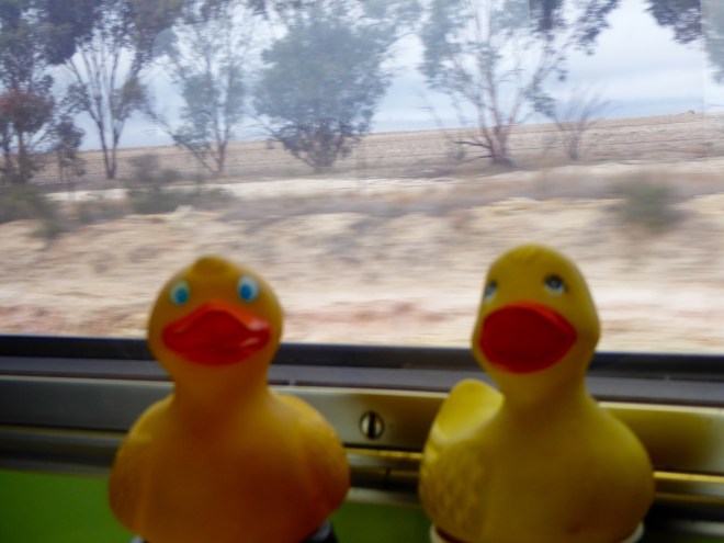 There are a few trees out there