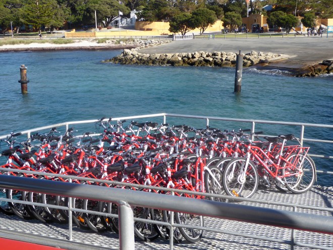 Our ferry brought all these bicycles