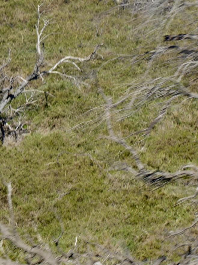 Desert parts of Rottnest Island