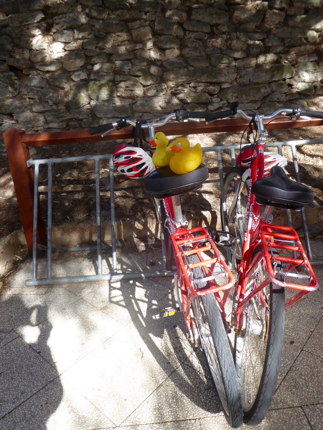 We would like to ride these bikes, but...short legs