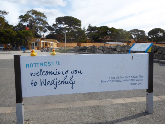 Welcome to Rottnest Island