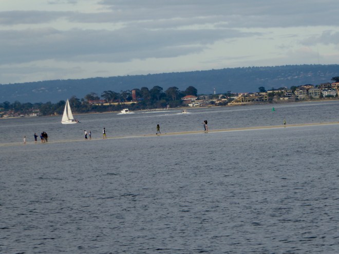 Walking across the Swan River