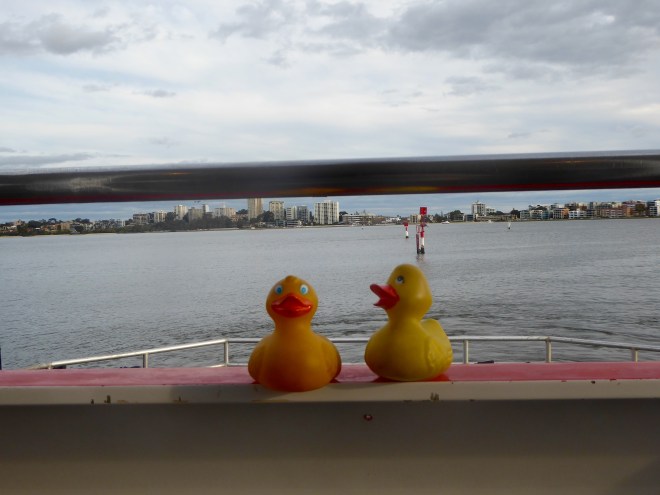 On the ferry. Let's go to Rottnest Island