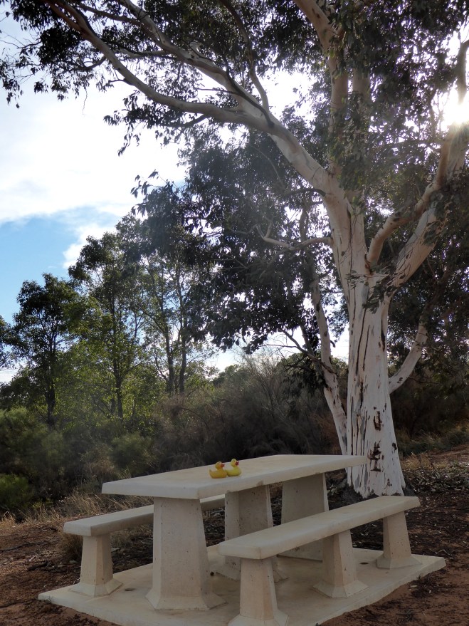 Picnic area along Indian Ocean