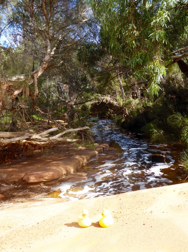 We crossed the beautiful Hutt River