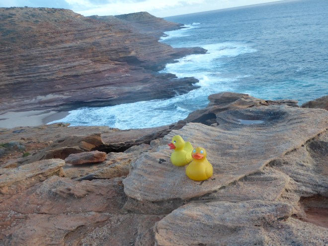 We like Pot Alley. We feel safe here