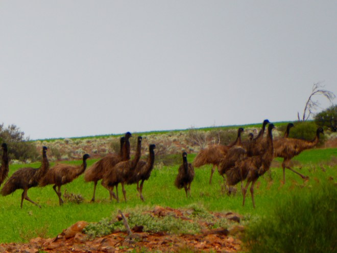 Are they sad we are leaving the park?