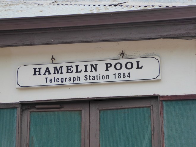 Hamelin Pool. Helped NASA in 1964
